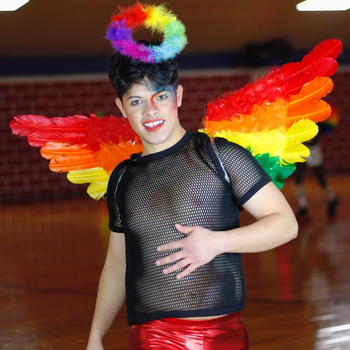 Rainbow Feather Wings