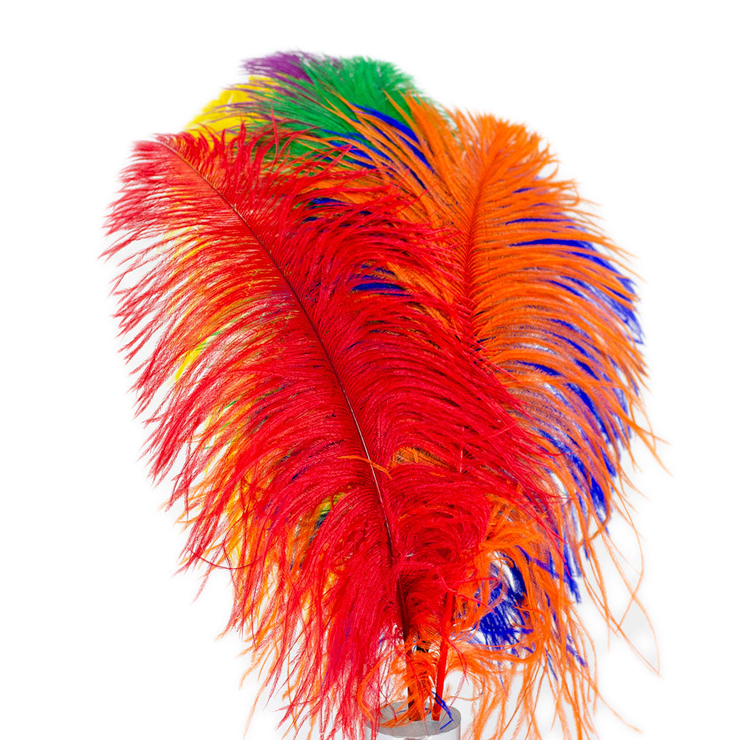 Ostrich Feathers - 16-18" Tail Feathers - Rainbow