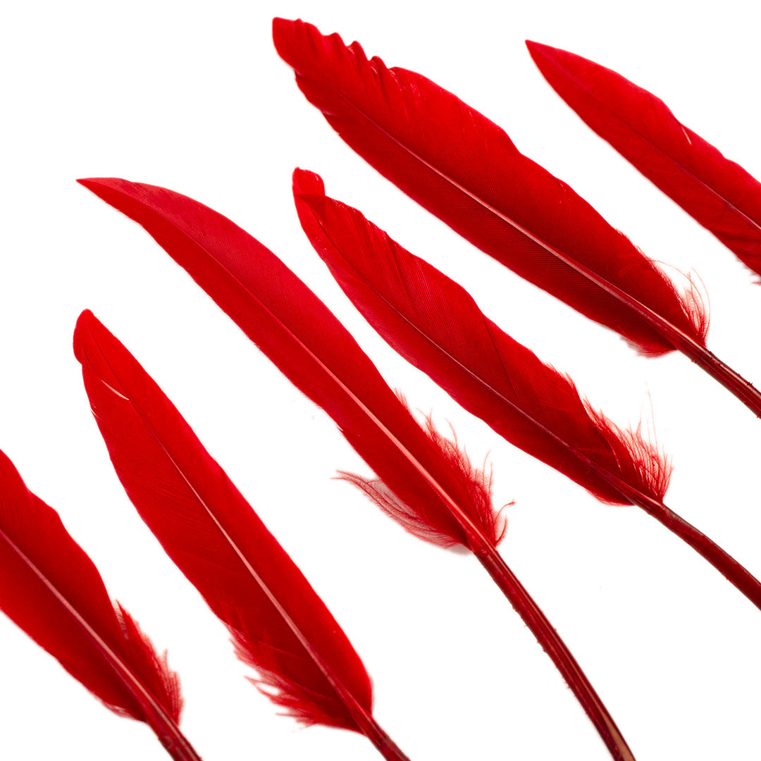 Duck Cosse Feathers - Red