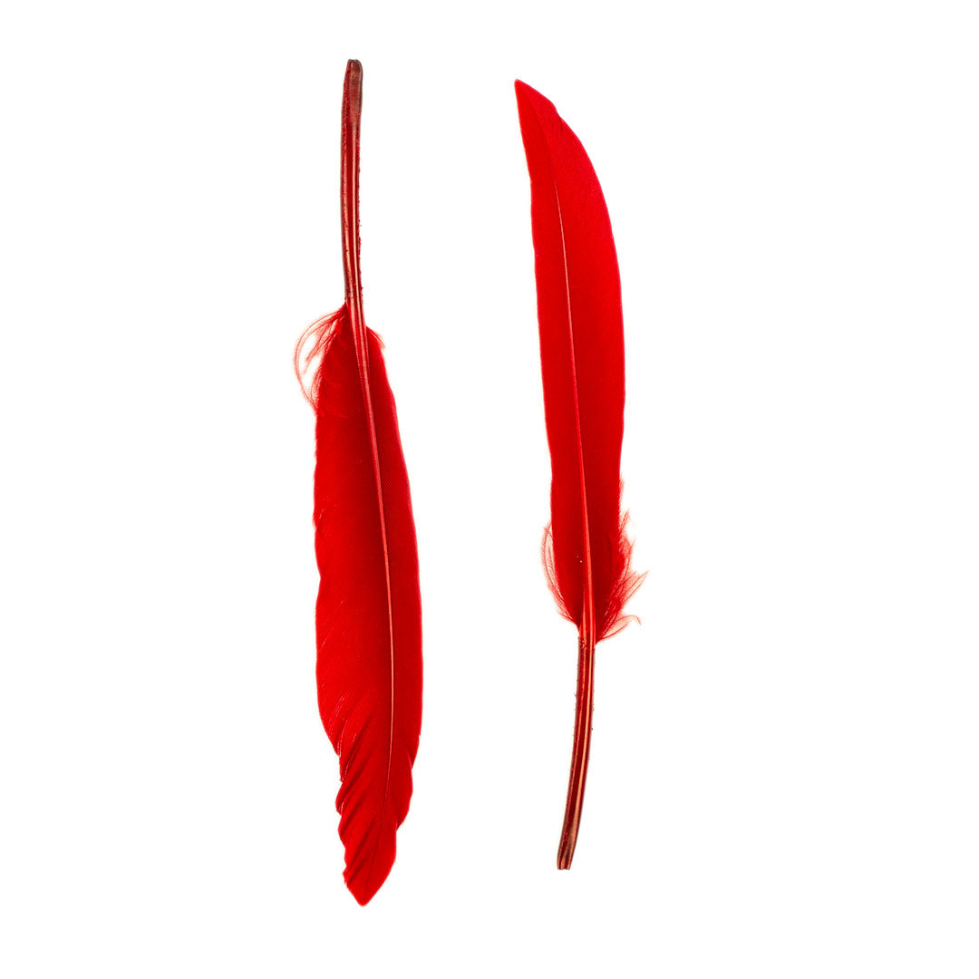 Duck Cosse Feathers - Red