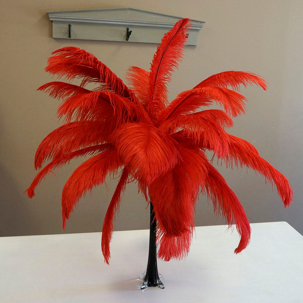 Large Ostrich Feathers - 17"+ Drabs - Red