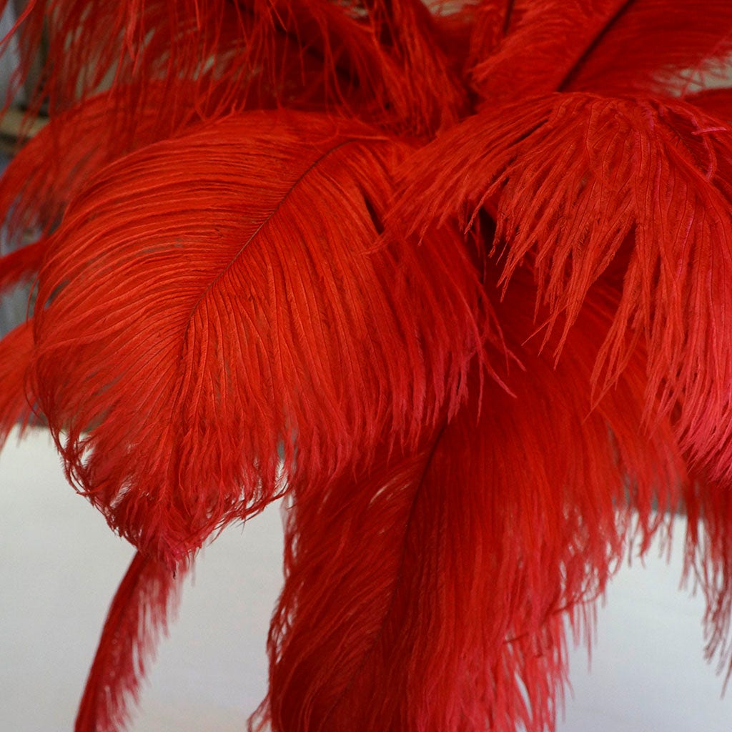 Large Ostrich Feathers - 17"+ Drabs - Red