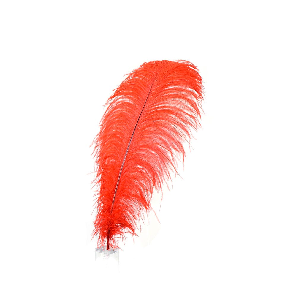 Large Ostrich Feathers - 17"+ Drabs - Red