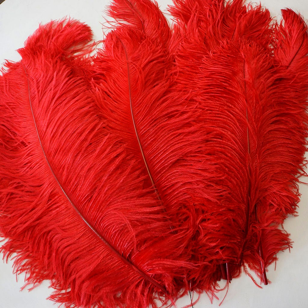 Large Ostrich Feathers - 17"+ Drabs - Red