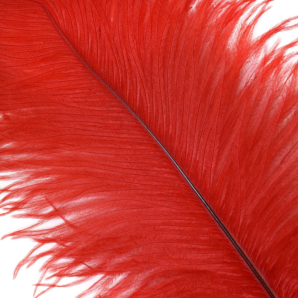 Ostrich Feathers 13-16" Drabs - Red