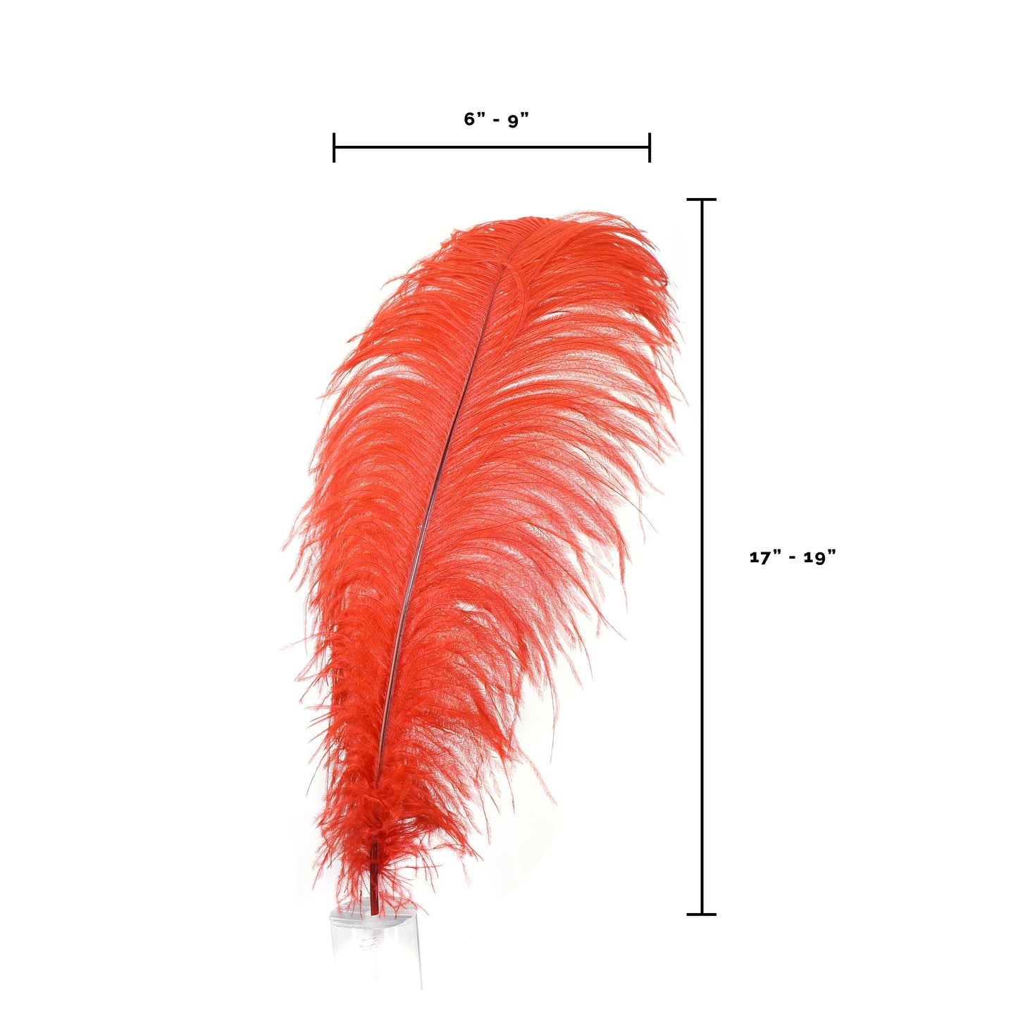 Large Ostrich Feathers - 17"+ Drabs - Red