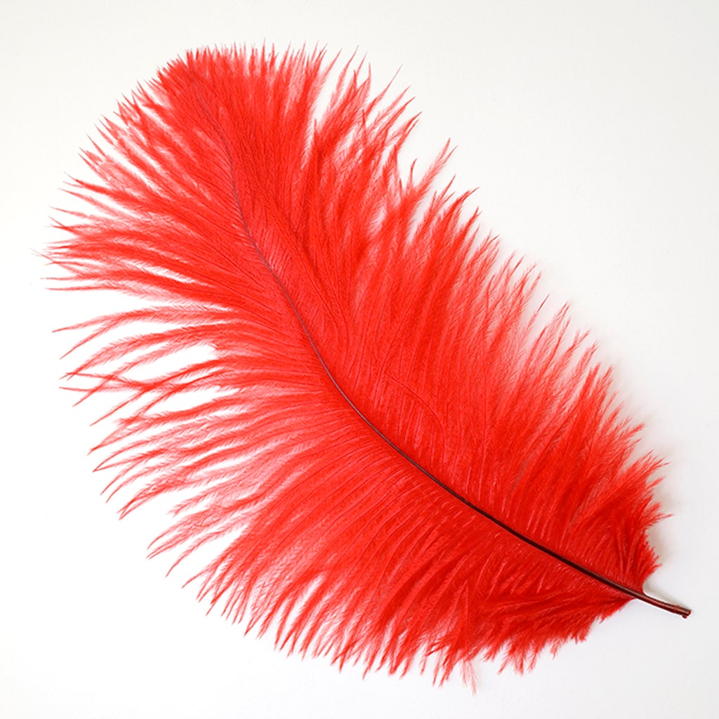 Ostrich Feathers 9-12" Drabs -  Red