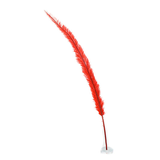 Ostrich Feathers - 13-24" Nandus - Red