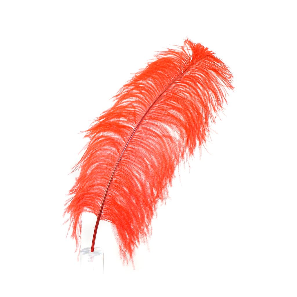 Large Ostrich Feathers - 20-25" Prime Femina Plumes - Red