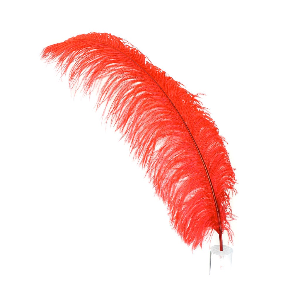 Large Ostrich Feathers - 24-30" Prime Femina Plumes - Red