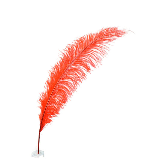 Large Ostrich Feathers - 18-24" Spads - Red