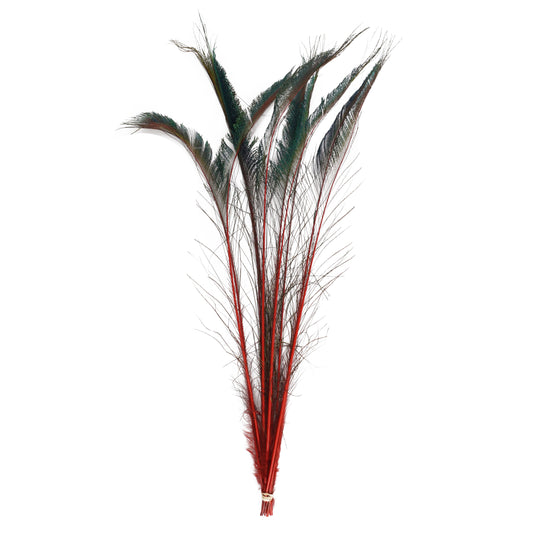 Peacock Swords Stem Dyed - Red