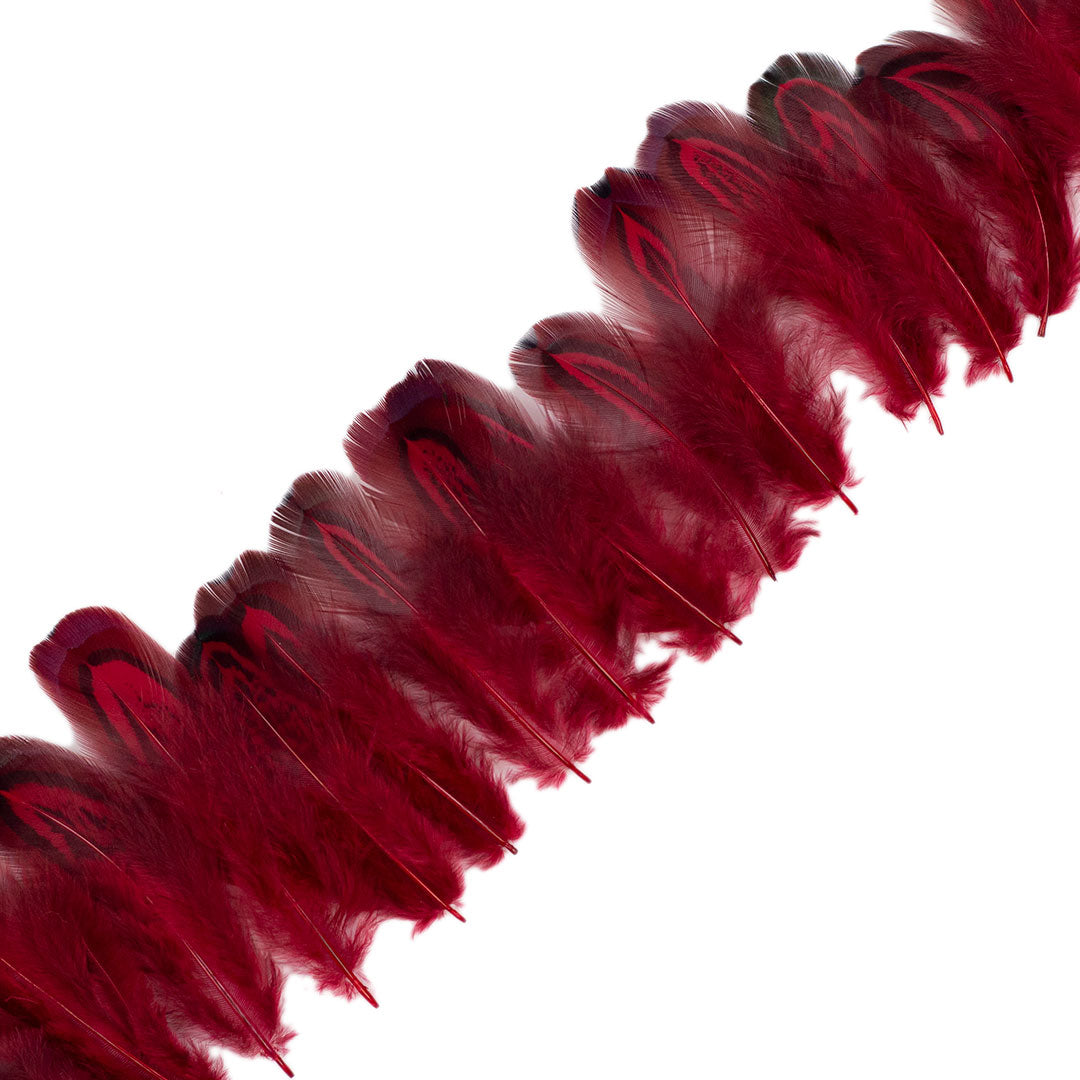 Tango Red Almond Ringneck Pheasant Loose Plumage 2-3 inch