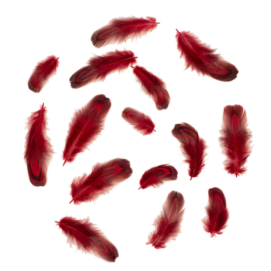 Tango Red Almond Ringneck Pheasant Loose Plumage 2-3 inch