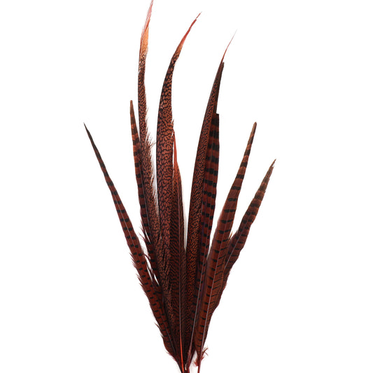 Pheasant Tails Assorted Dyed - Red