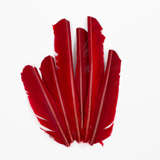 Red Cut Turkey Pointer Feathers 8-12"