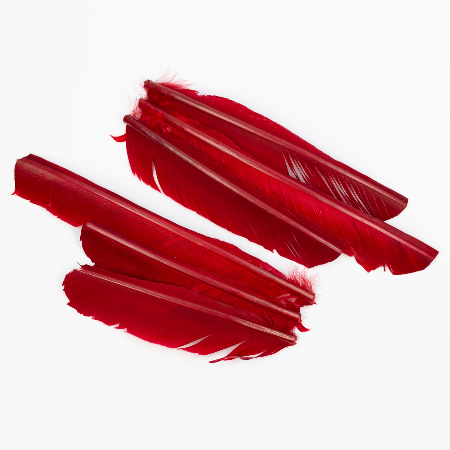 Red Cut Turkey Pointer Feathers 8-12"