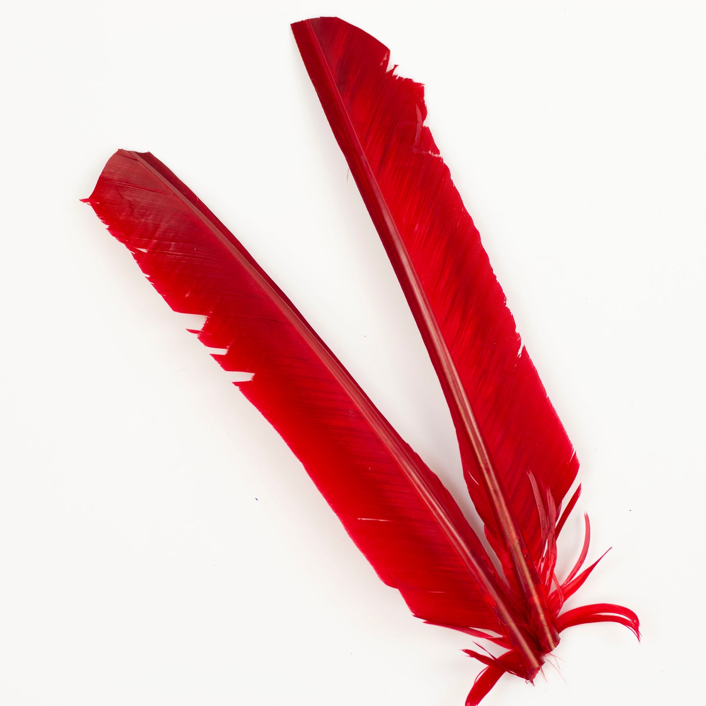 Red Cut Turkey Pointer Feathers 8-12"