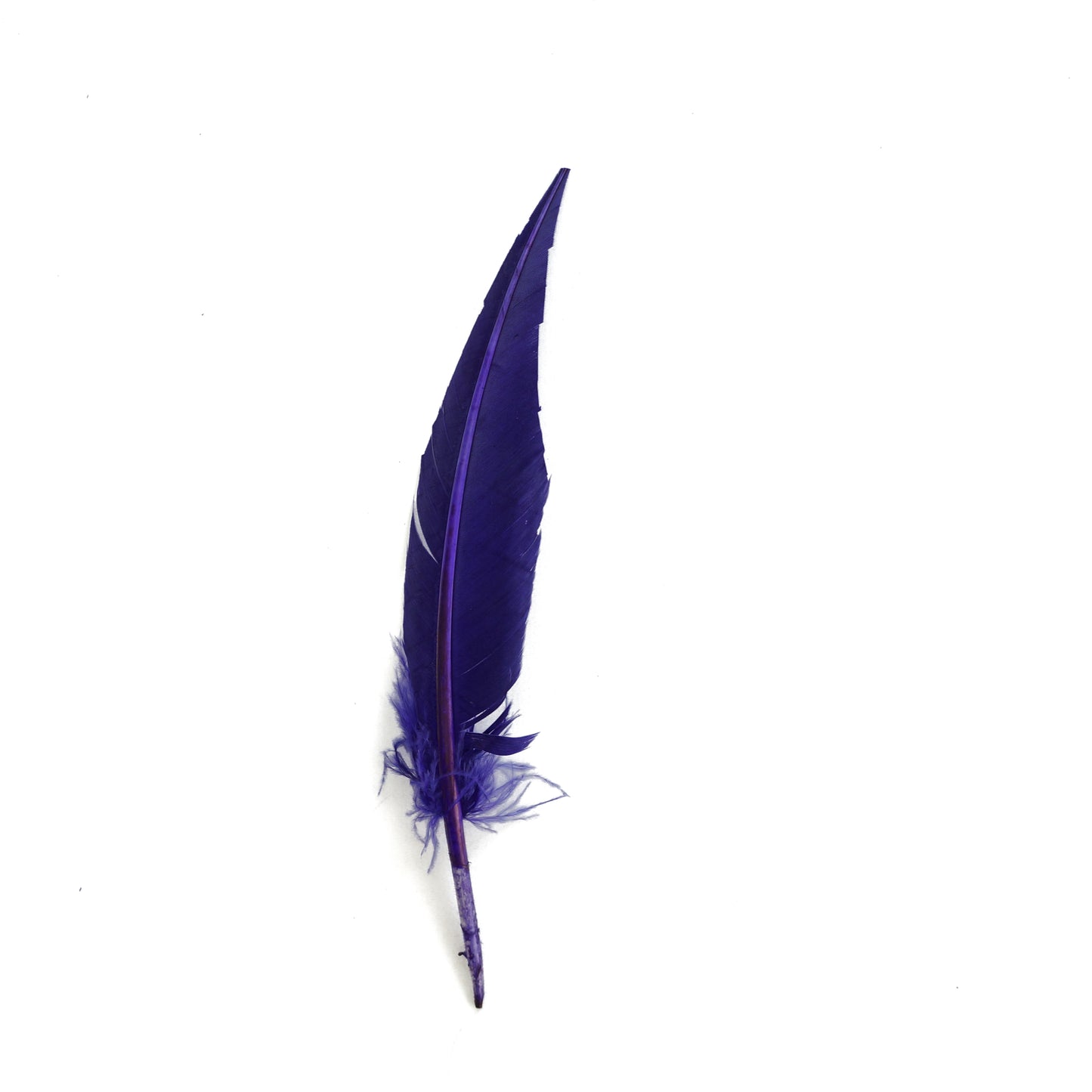Regal Purple Dagger Turkey Quill Feathers 9-12"