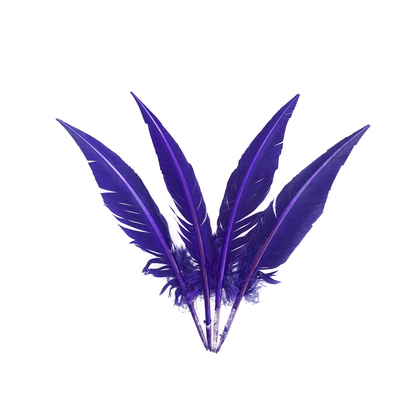 Regal Purple Dagger Turkey Quill Feathers 9-12"