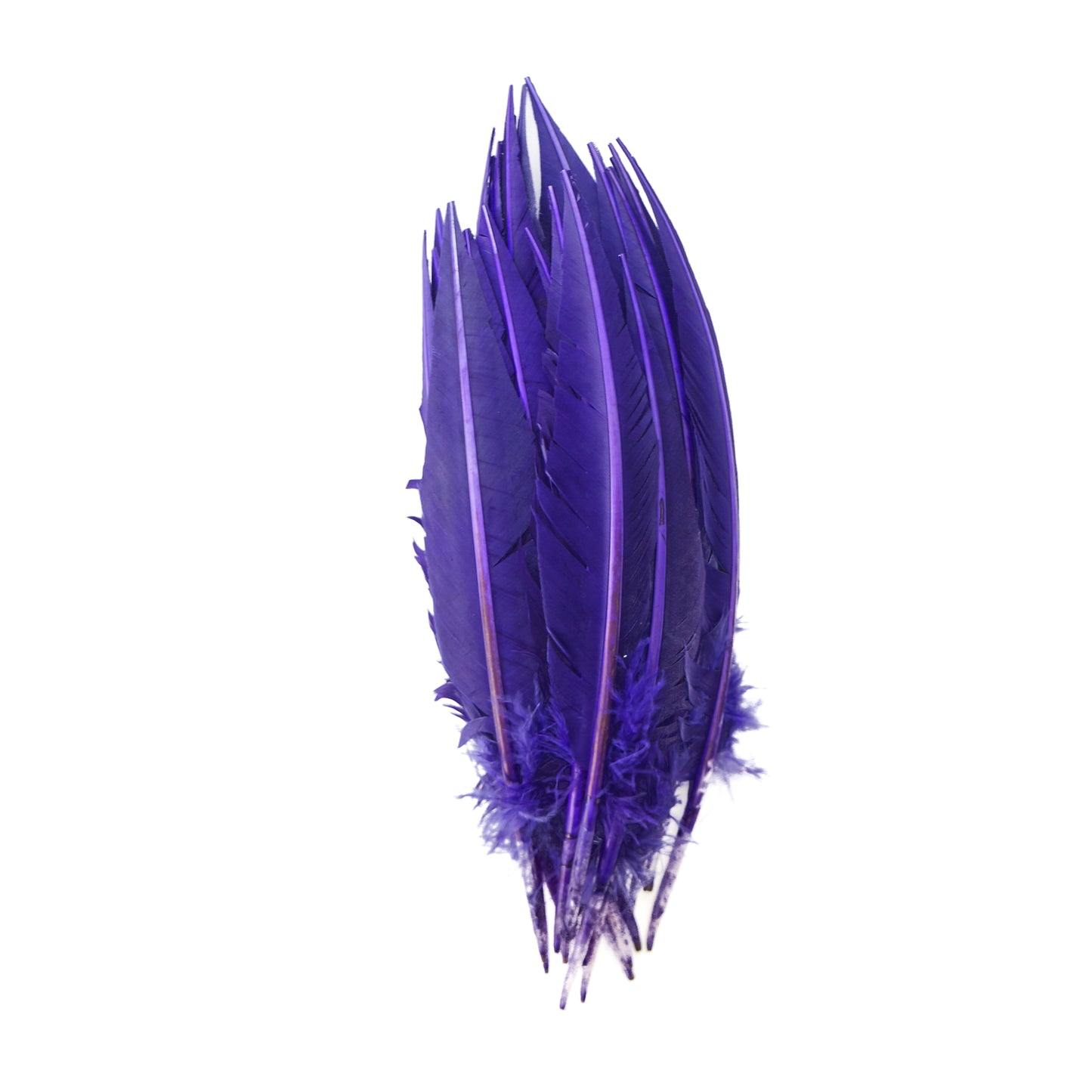 Regal Purple Dagger Turkey Quill Feathers 9-12"