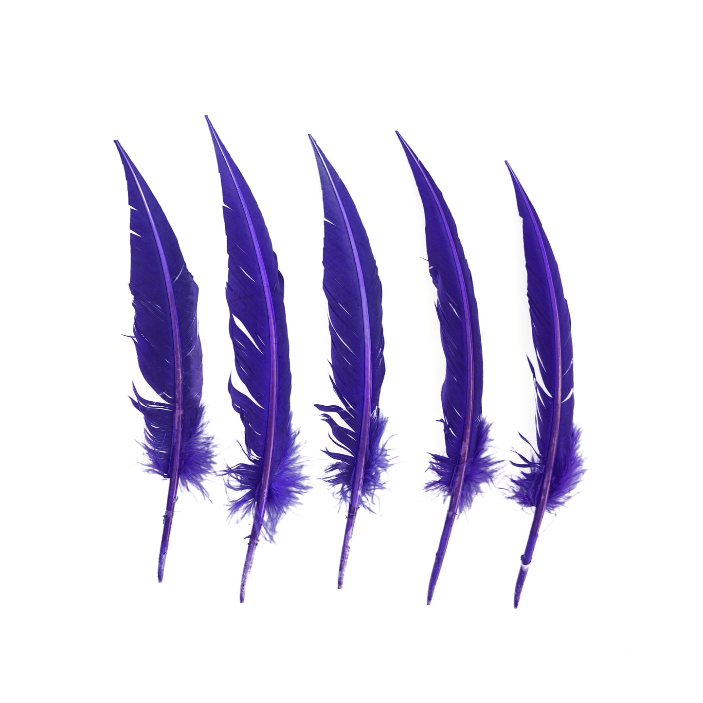 Regal Purple Dagger Turkey Quill Feathers 9-12"