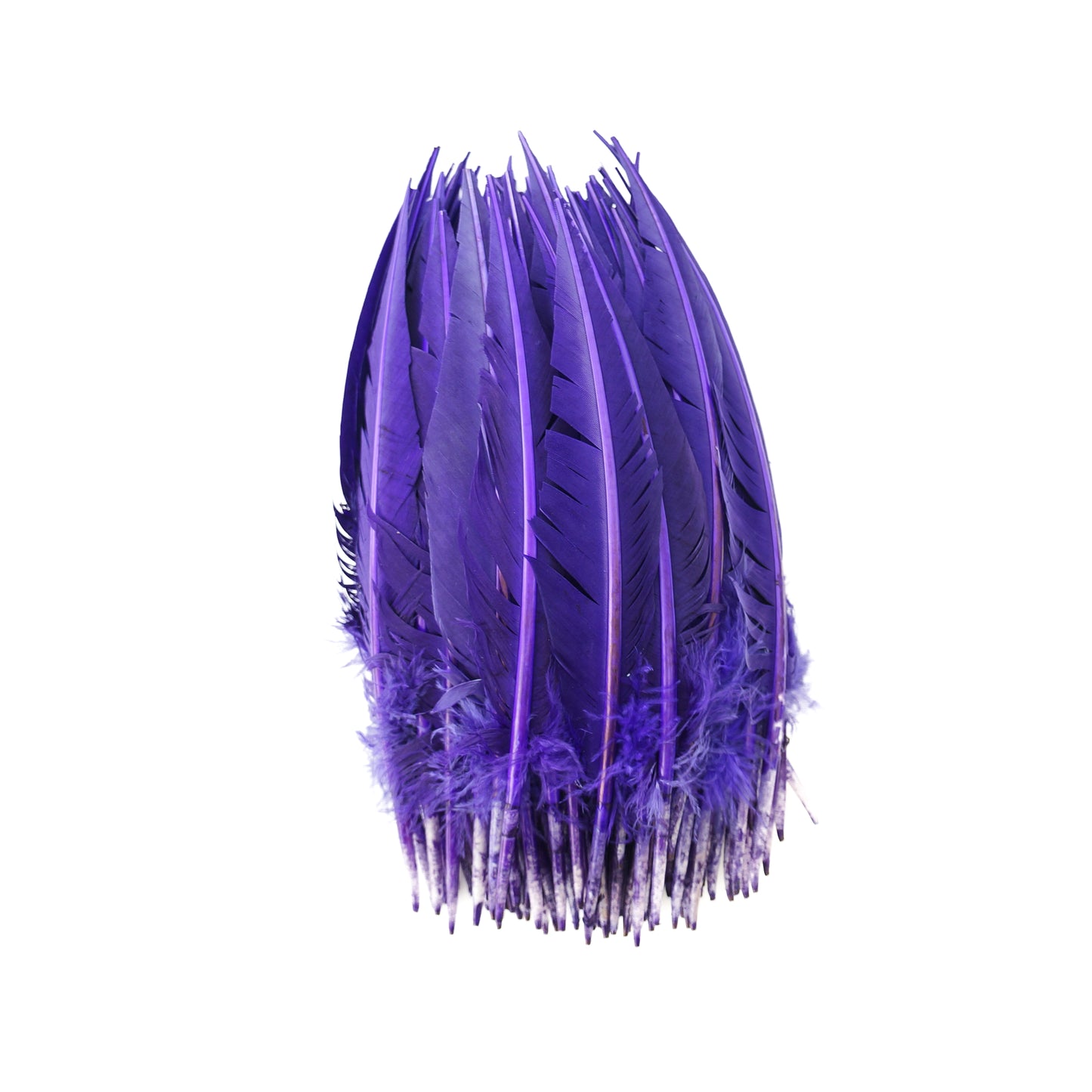 Regal Purple Dagger Turkey Quill Feathers 9-12"