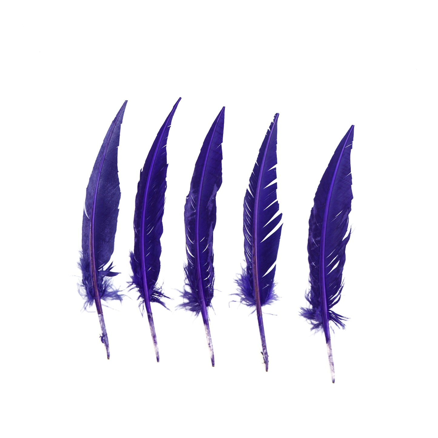 Regal Purple Dagger Turkey Quill Feathers 9-12"
