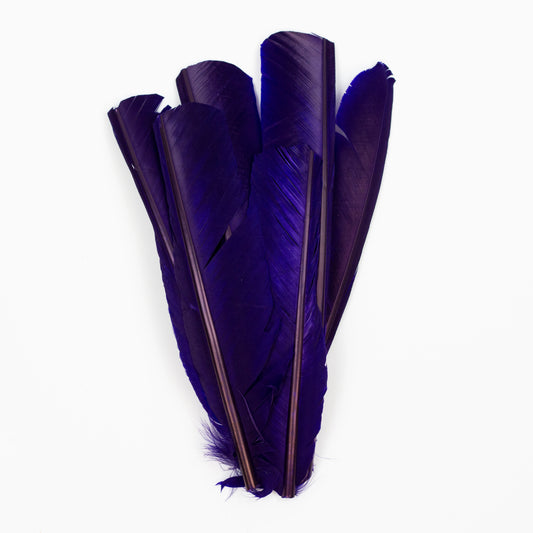 Regal Cut Turkey Pointer Feathers 8-12"