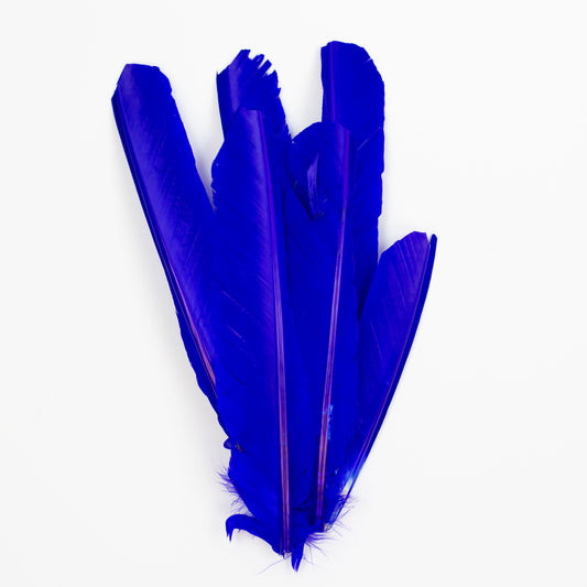Royal Cut Turkey Pointer Feathers 8-12"