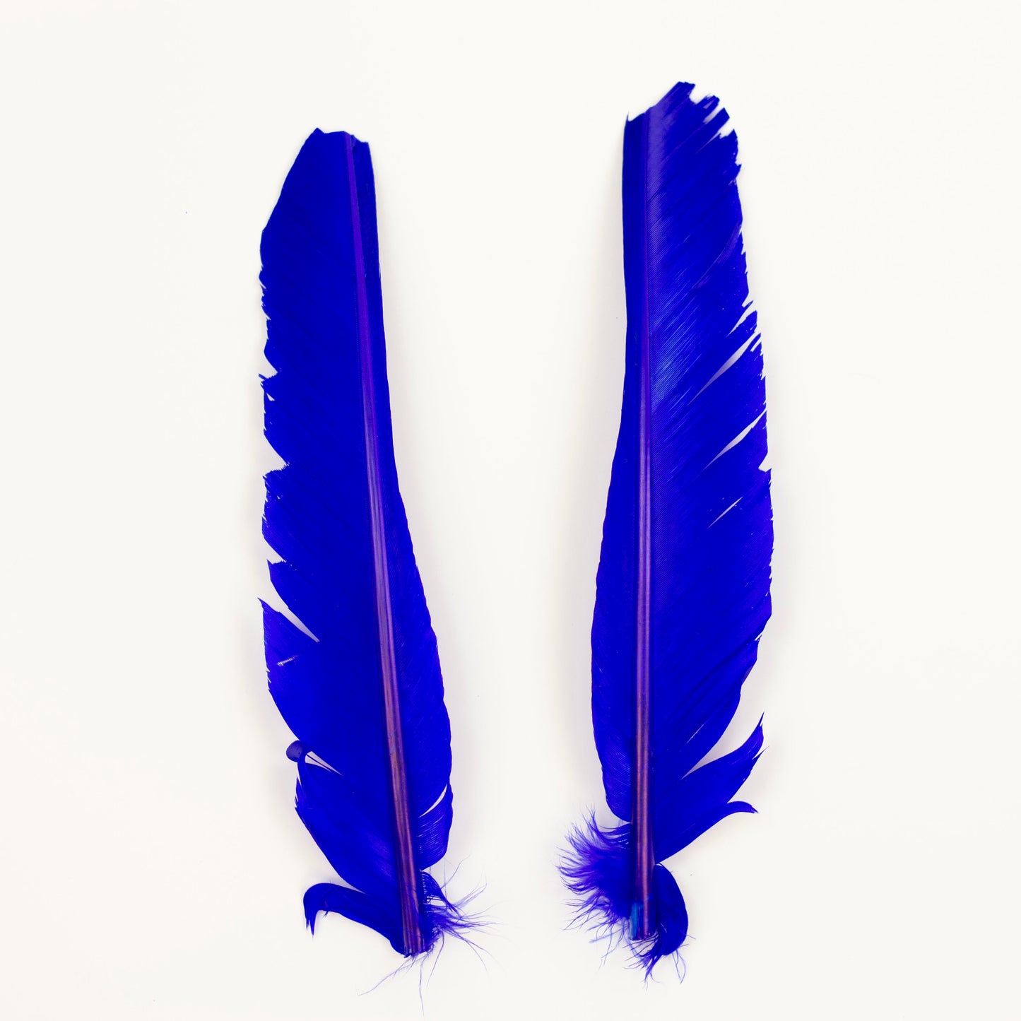 Royal Cut Turkey Pointer Feathers 8-12"