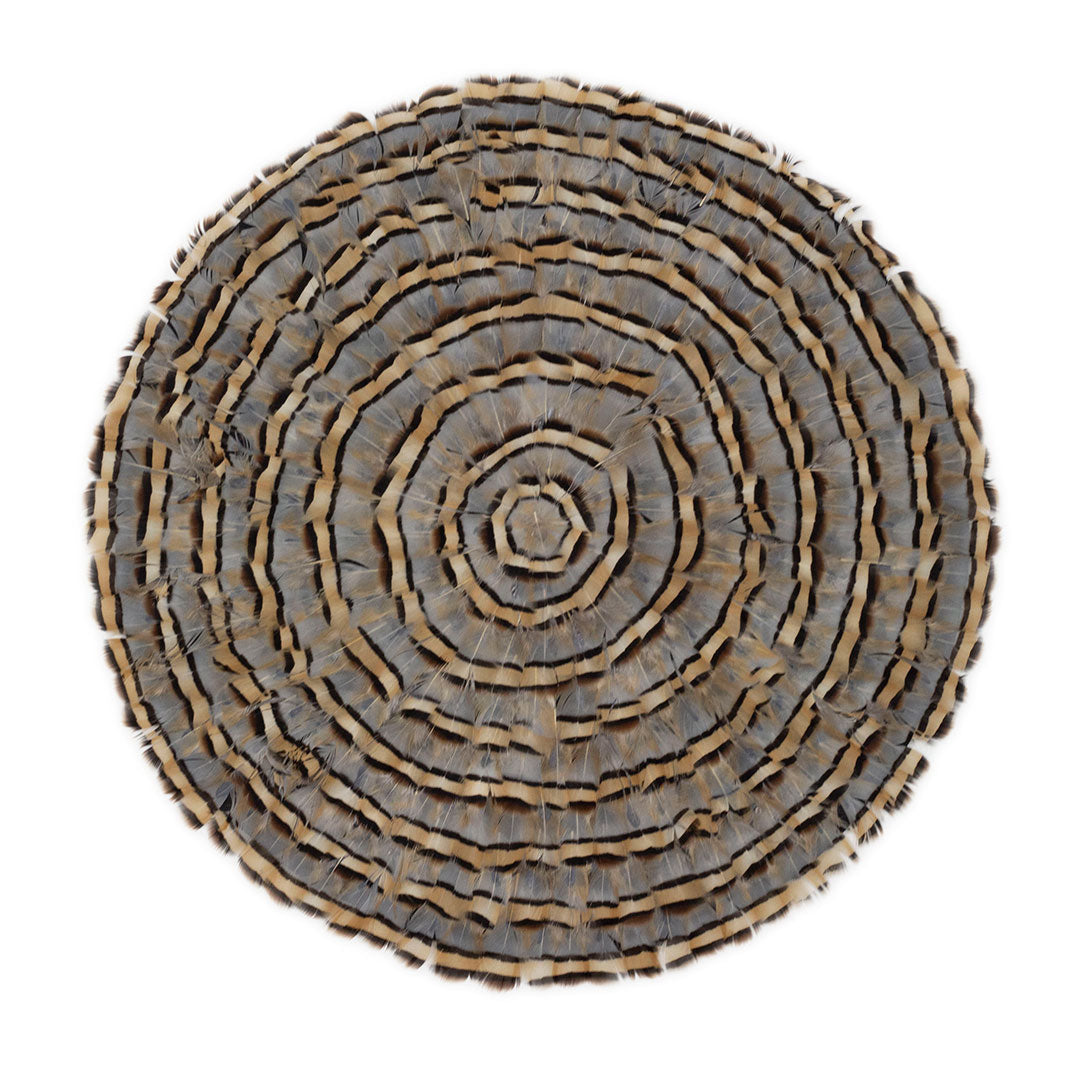 Partridge Plumage Feather Placemat