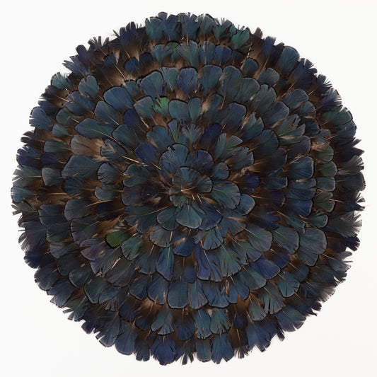 Lady Amherst Bronze Iridescent Feather Placemat