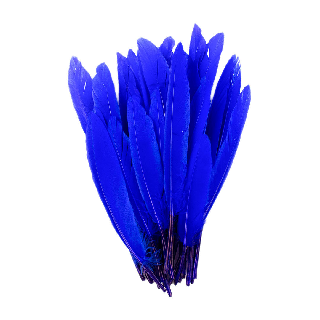 Duck Cosse Feathers - 3 - 6"-Royal