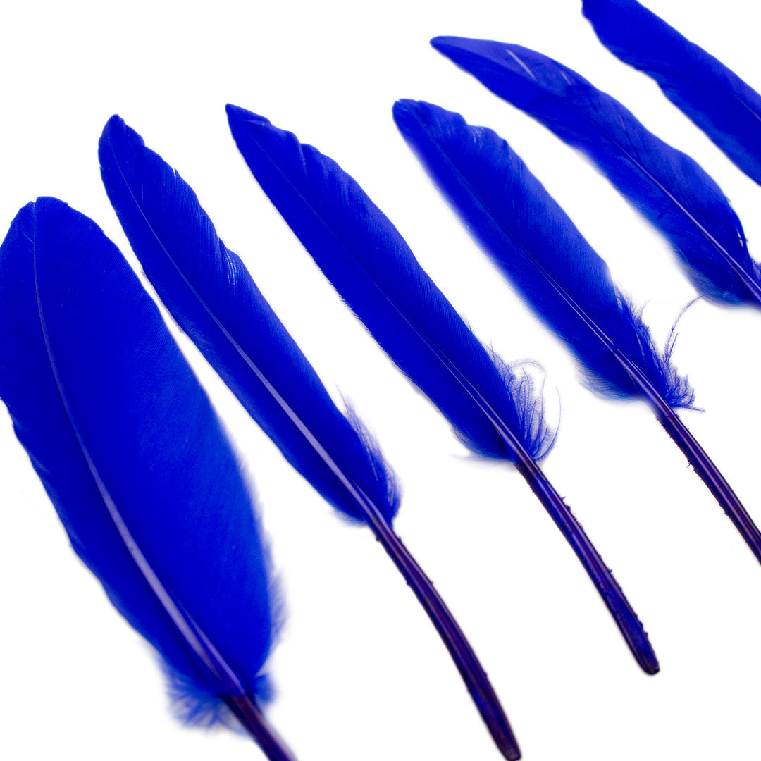 Duck Cosse Feathers - 3 - 6"-Royal