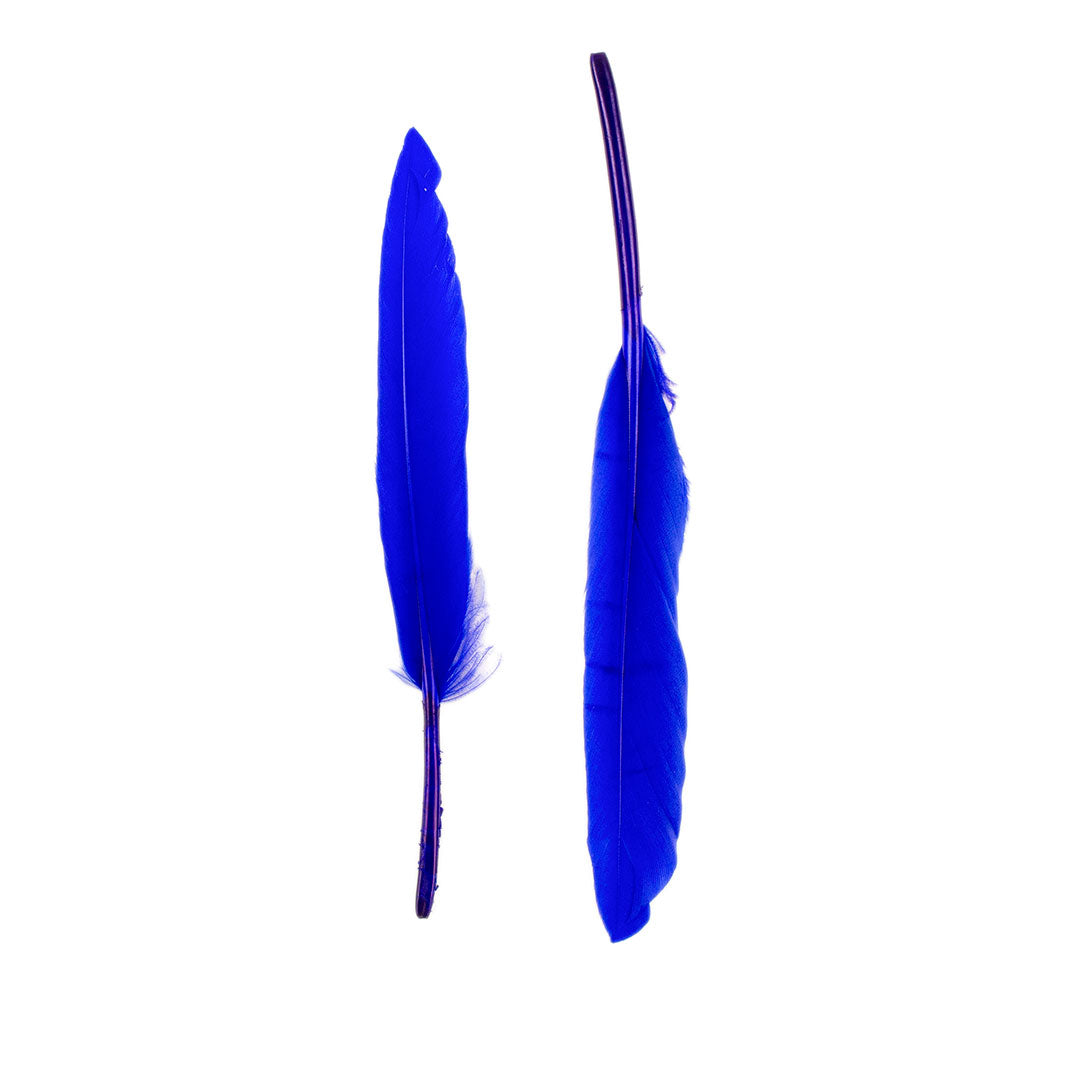 Duck Cosse Feathers - 3 - 6"-Royal