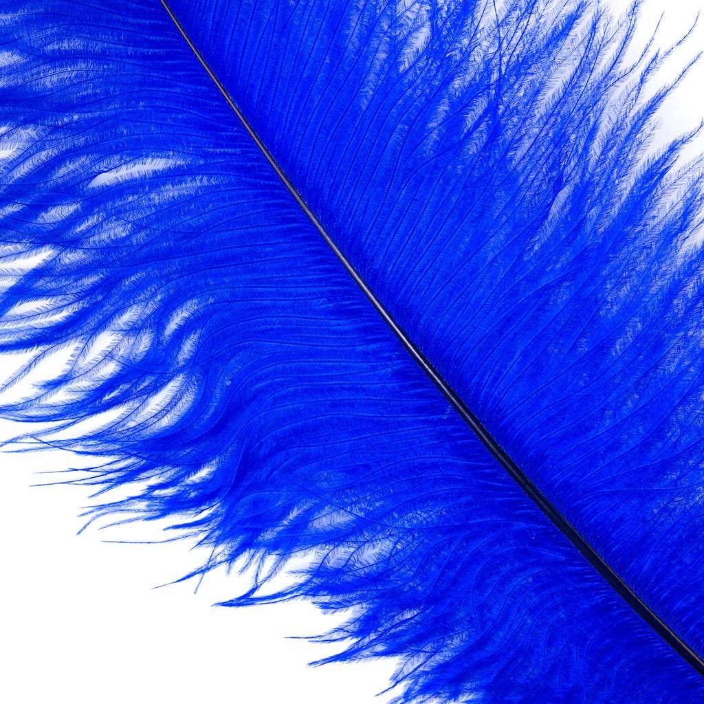 Large Ostrich Feathers - 17"+ Drabs - Royal