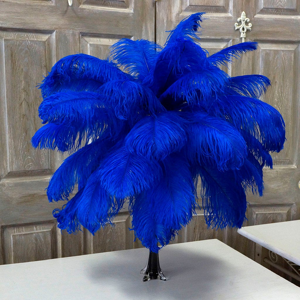 Large Ostrich Feathers - 17"+ Drabs - Royal