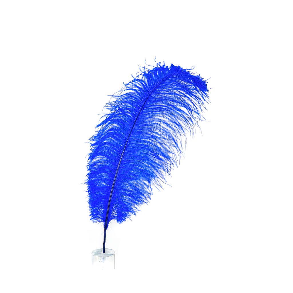 Large Ostrich Feathers - 17"+ Drabs - Royal – Featherplace.com By ...