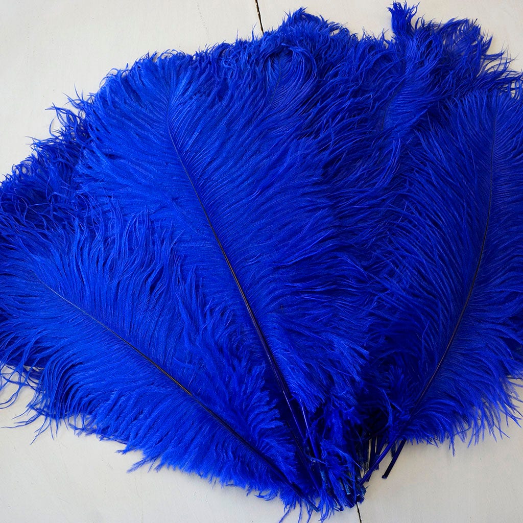 Large Ostrich Feathers - 17"+ Drabs - Royal