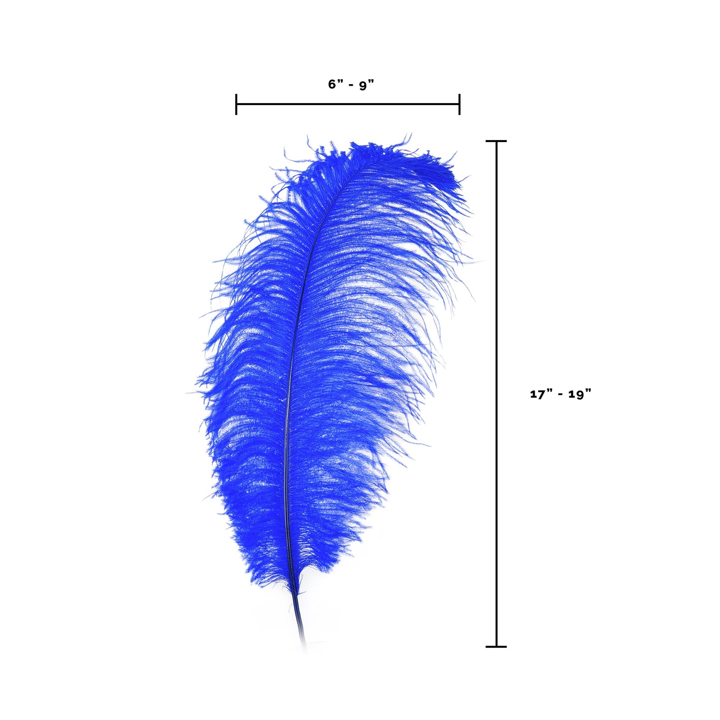 Large Ostrich Feathers - 17"+ Drabs - Royal