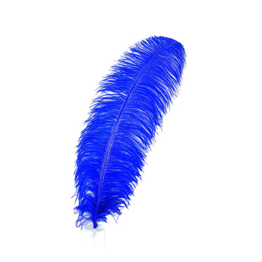 Large Ostrich Feathers - 20-25" Prime Femina Plumes - Royal