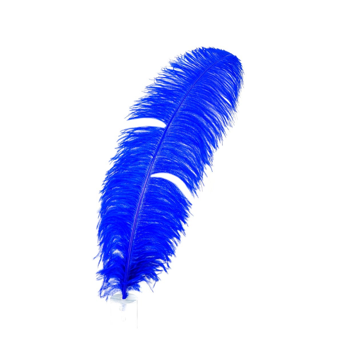 Bulk Ostrich Feathers-Damaged Femina - Royal