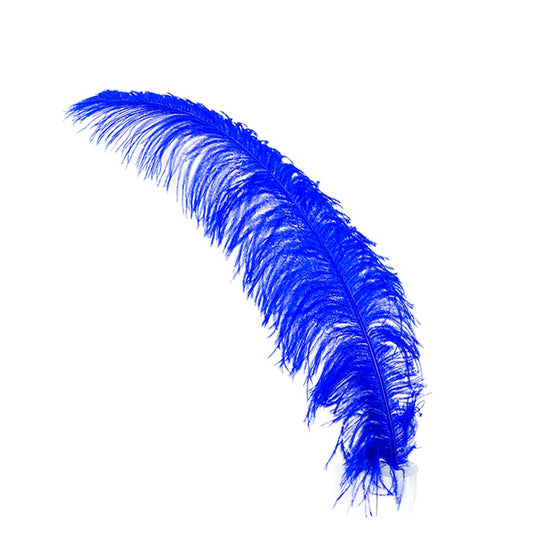 Large Ostrich Feathers - 18-24" Spads - Royal