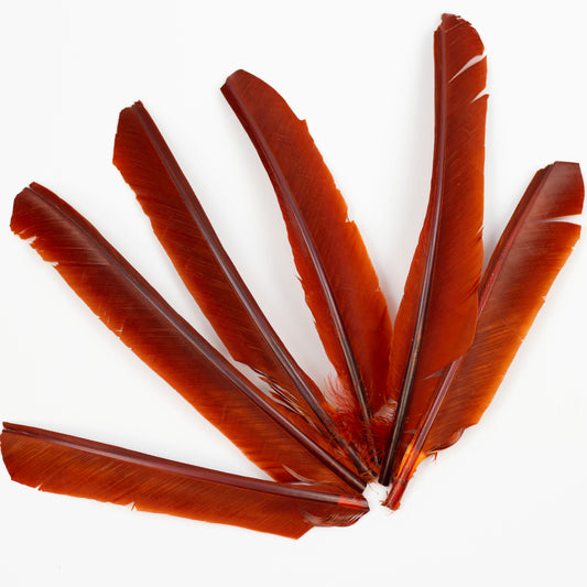 Rust Cut Turkey Pointer Feathers 8-12"