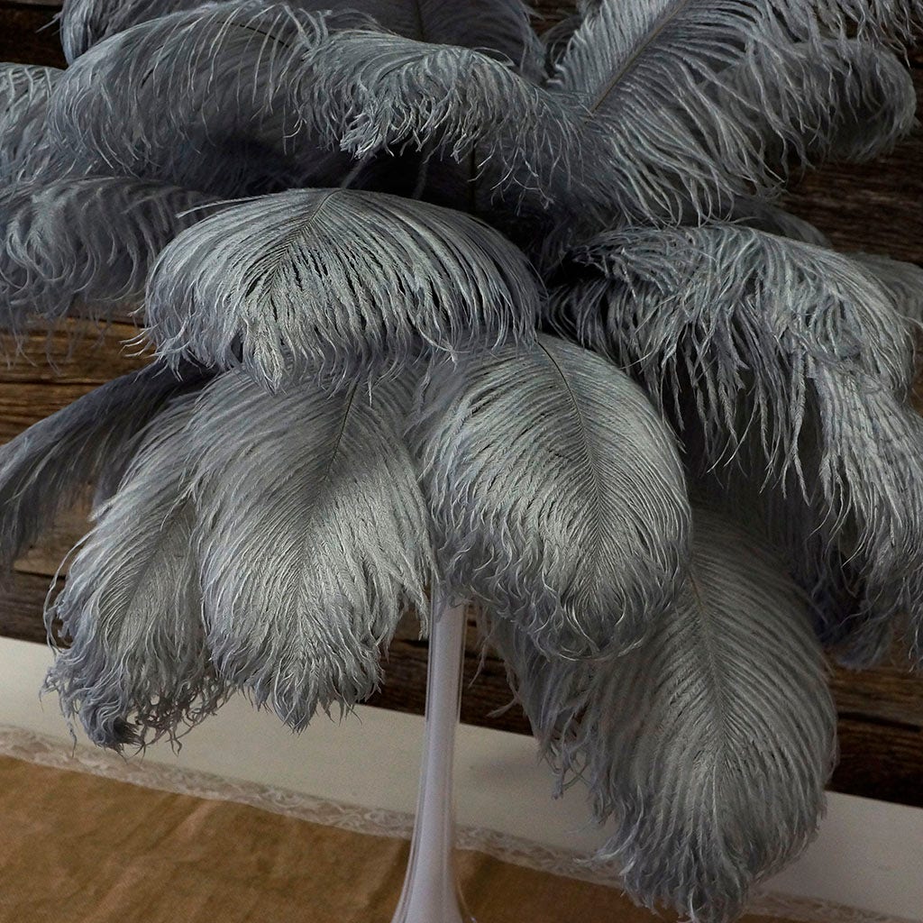 Large Ostrich Feathers - 17"+ Drabs - Silver – Featherplace.com By ...