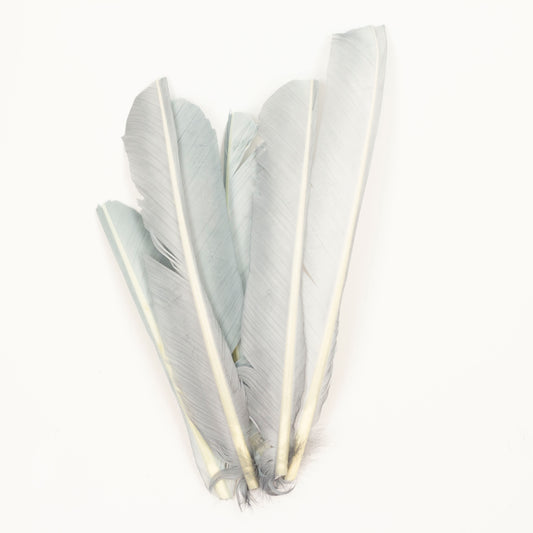 Silver Cut Turkey Pointer Feathers 8-12"