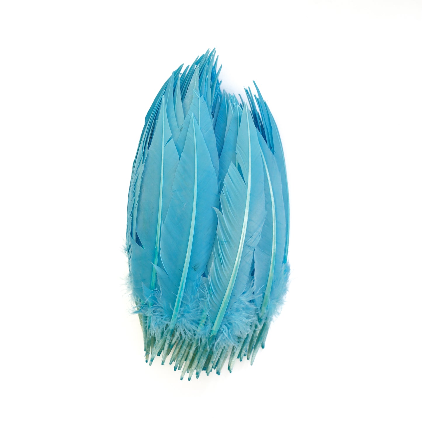 Sky Blue Dagger Turkey Quill Feathers 9-12"