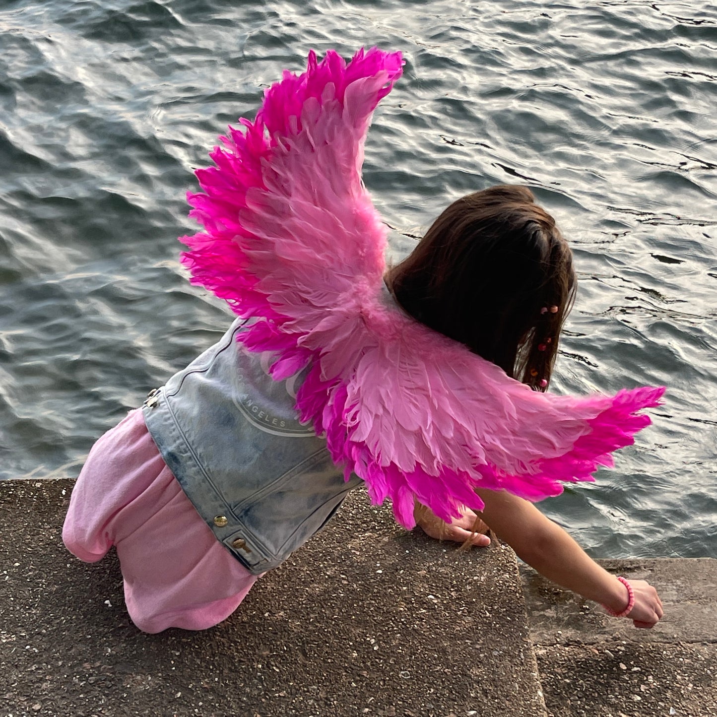 Small Two-tone Pink Wings