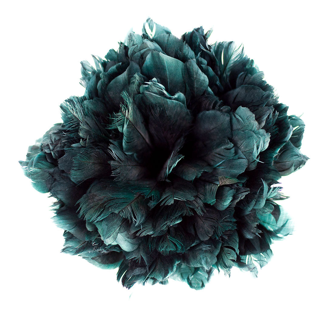 strung teal goose feathers